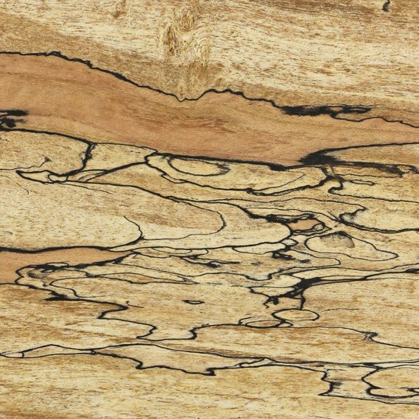 Spalted Maple